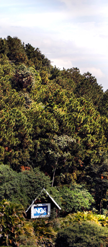 Ingá Preservação ambiental